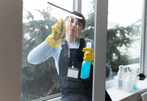 Nettoyage de vitres intérieures et extérieures à l'Isle-sur-Serein